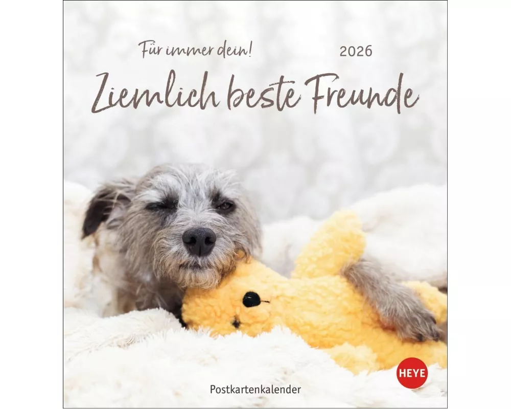 Ziemlich beste Freunde Postkartenkalender 2026 - Für immer dein