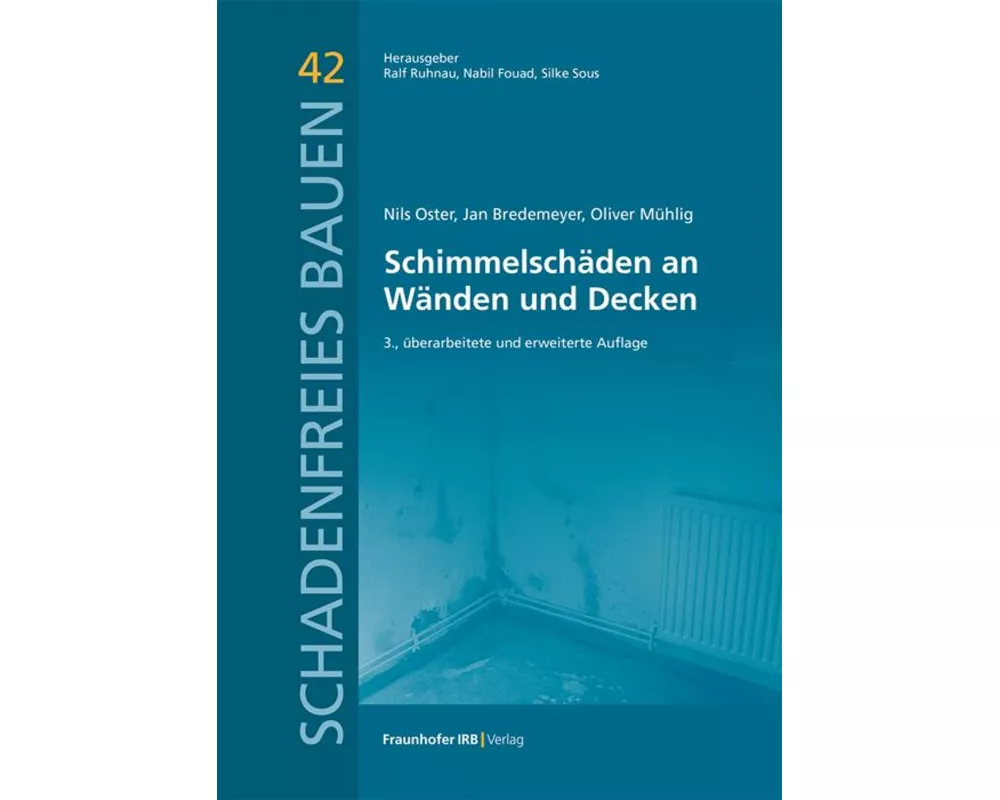 Schimmelschäden an Wänden und Decken