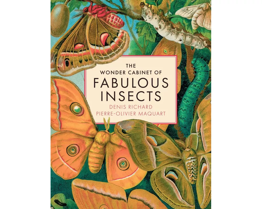The Wonder Cabinet of Fabulous Insects