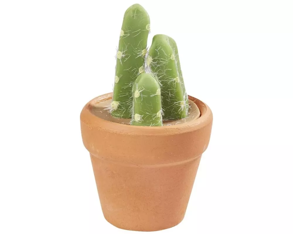 HobbyFun Mini-Utensilien Kakteen im Topf 5.5 cm