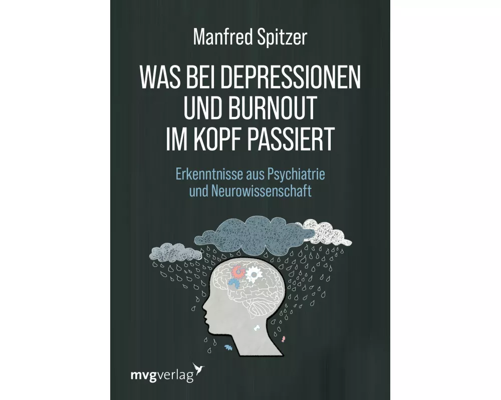 Was bei Depressionen und Burnout im Kopf passiert