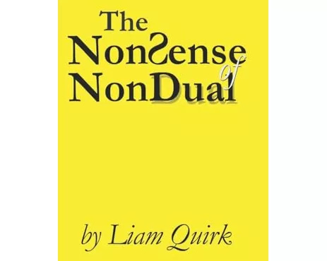 The NonSense of NonDual