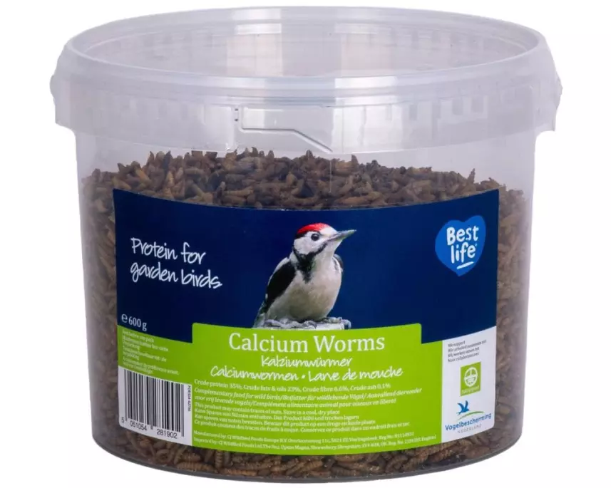 CJ Wildlife Schwarze Soldaten Fliegen (BSF) 600 g Eimer