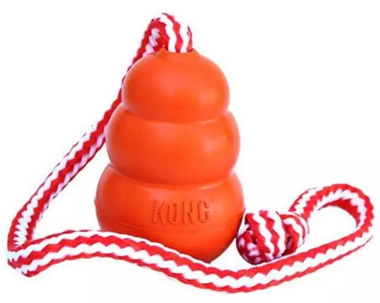 Kong Hunde-Spielzeug Kong Aqua Ø 10.5 cm
