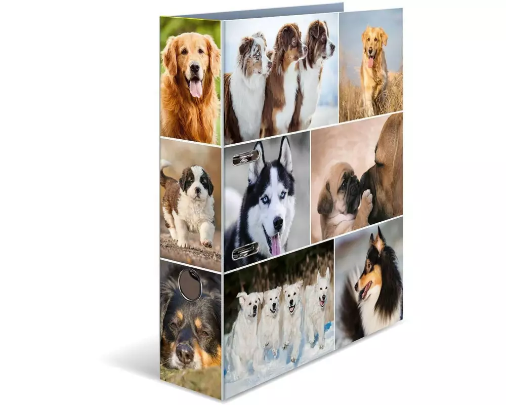 HERMA Ordner Hunde 7 cm, Mehrfarbig