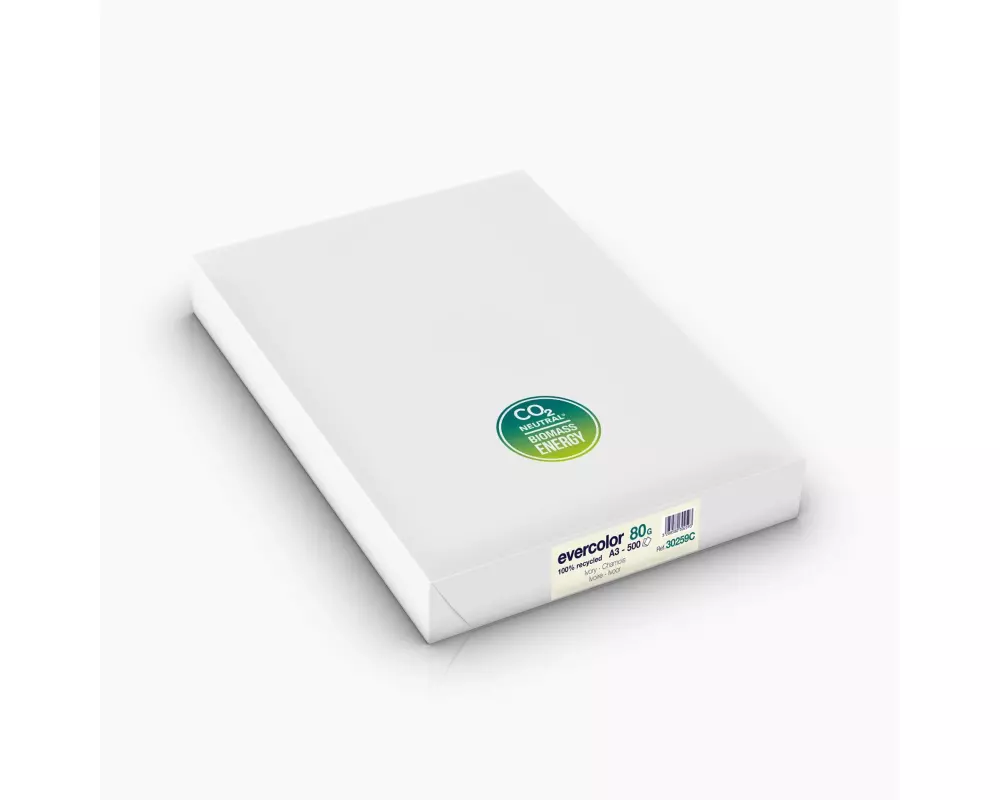 Clairefontaine Kopierpapier Evercolor A3, Chamois, 80 g/m²,500 Blatt