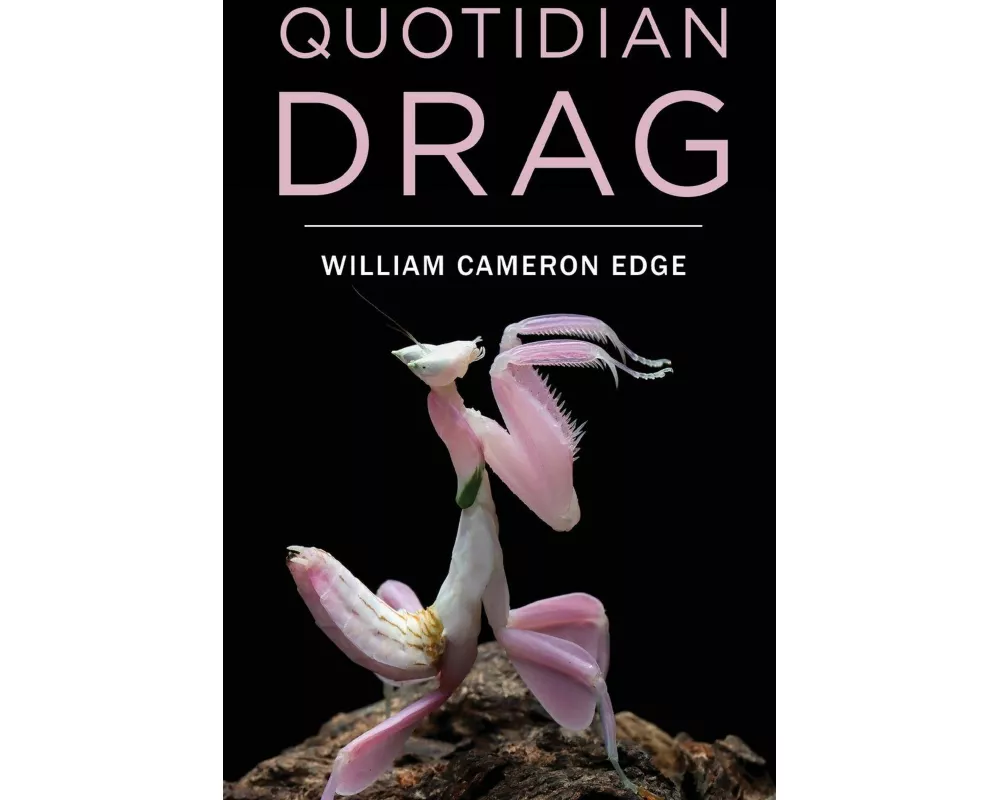 Quotidian Drag