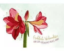 Doppelkarte. Green Karma X-MAS - Rote Amaryllis