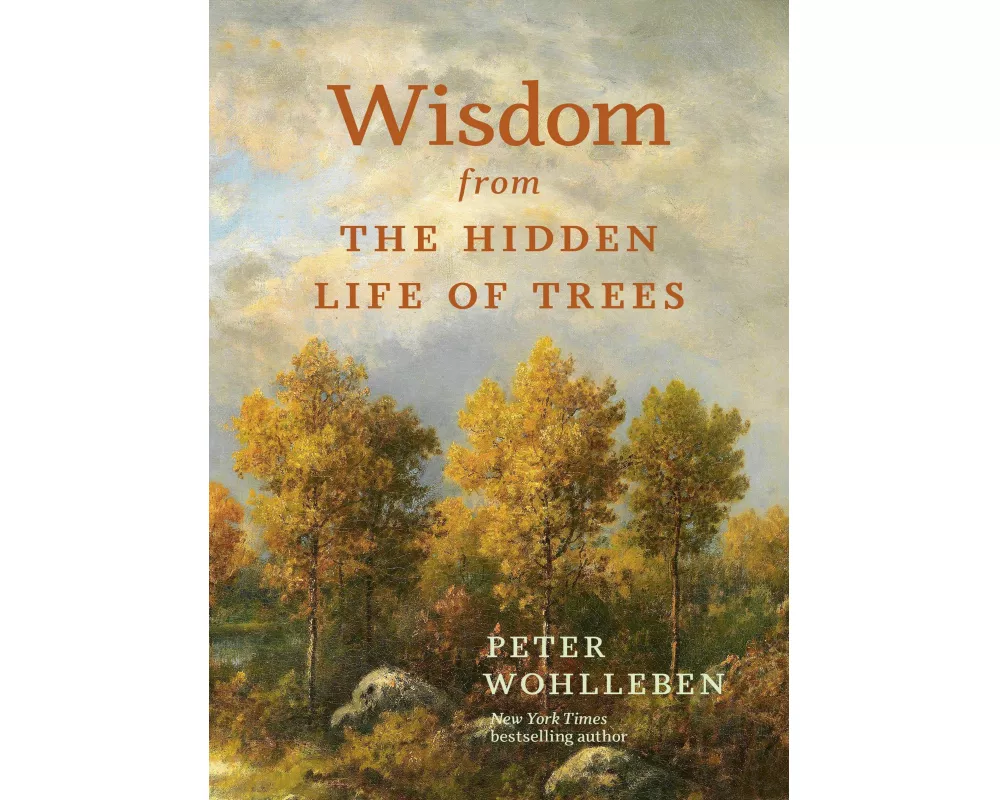Wisdom From The Hidden Life of Trees