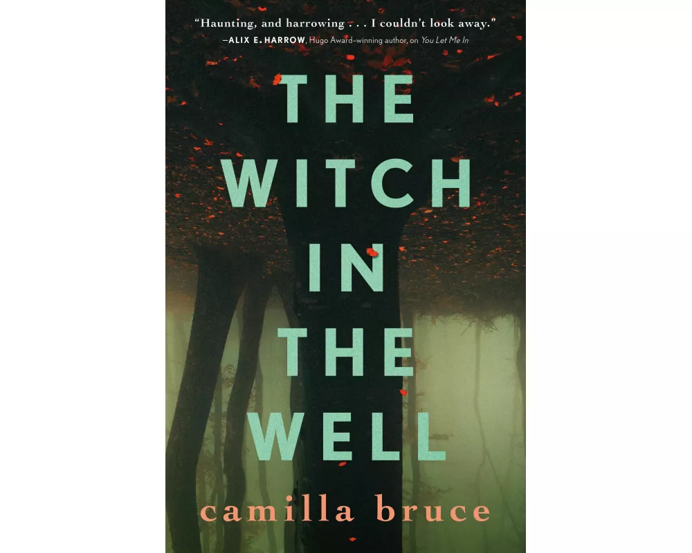 The Witch In The Well