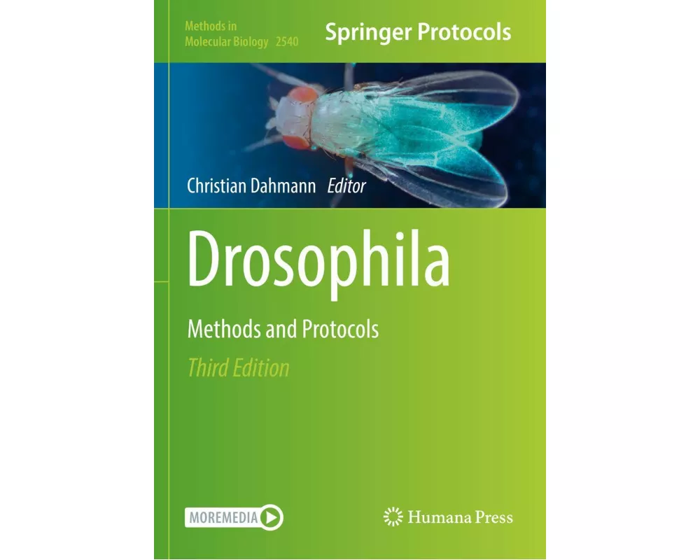 Drosophila