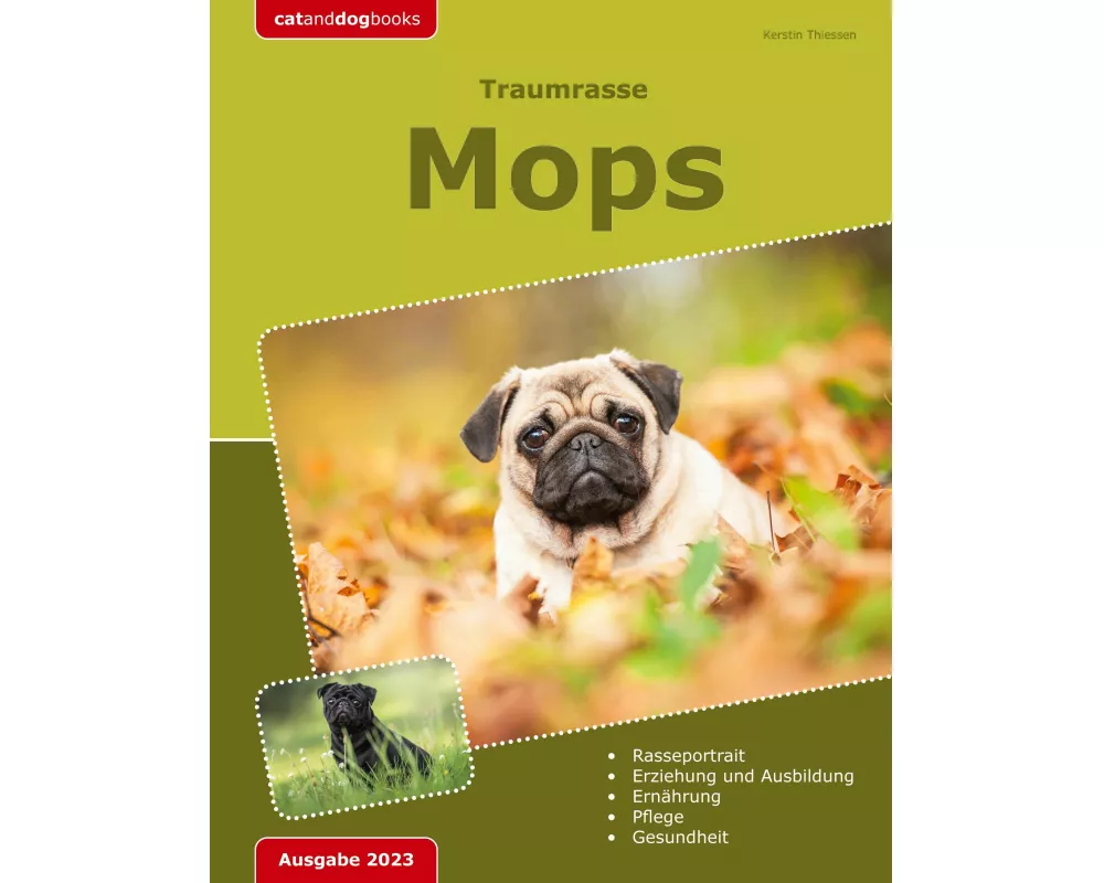Traumrasse: Mops