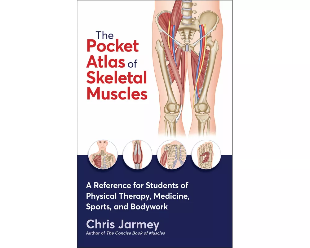 The Pocket Atlas of Skeletal Muscles