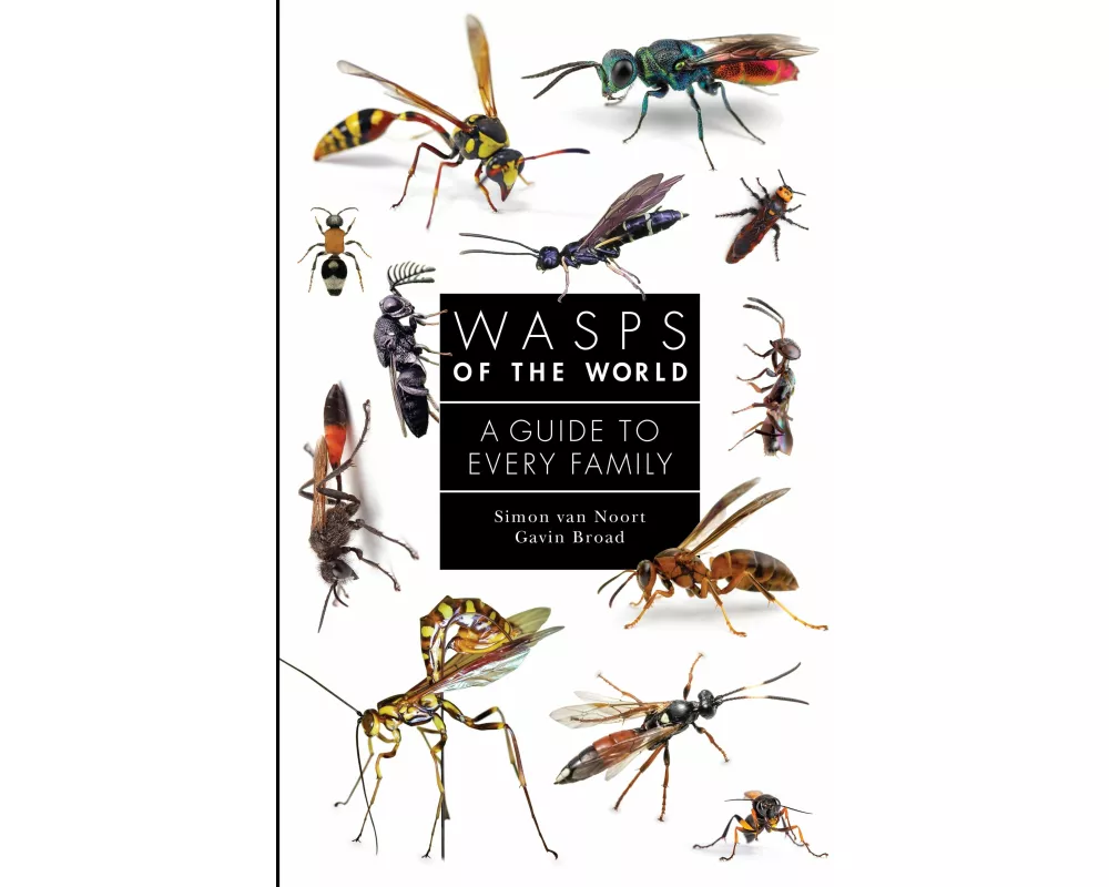 Wasps of the World