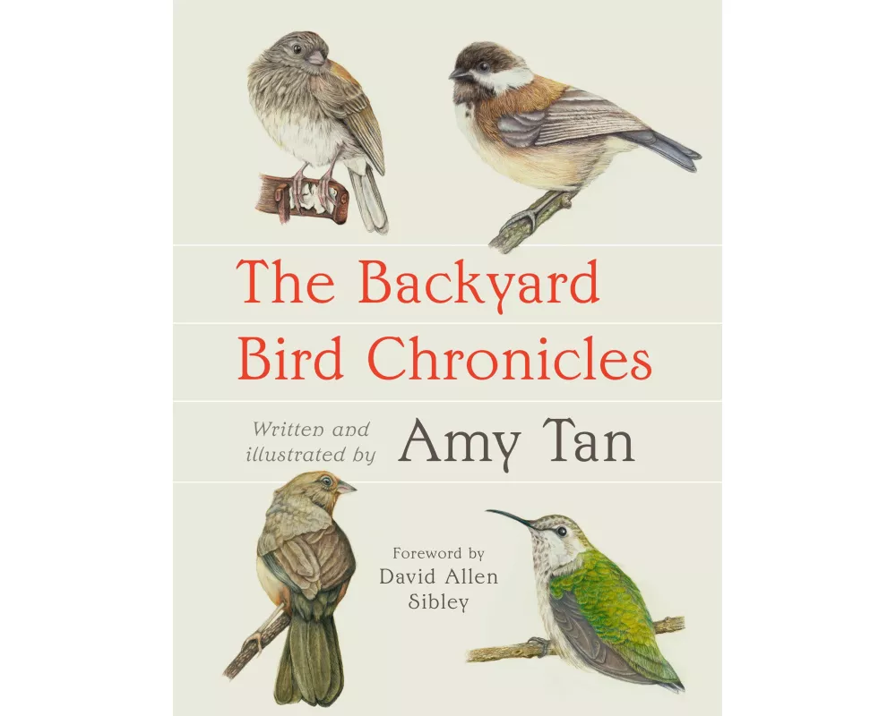 The Backyard Bird Chronicles