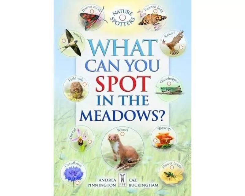 What Can You Spot in the Meadows?