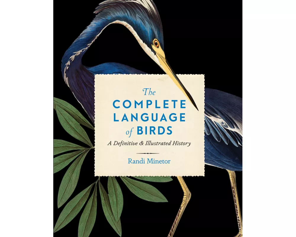 The Complete Language of Birds: Volume 13