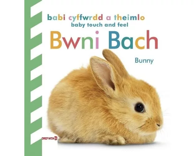 Babi Cyffwrdd a Theimlo: Bwni Bach / Baby Touch and Feel: Bunny