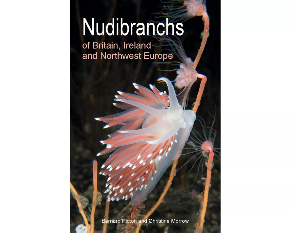Nudibranchs of Britain, Ireland and Northwest Europe