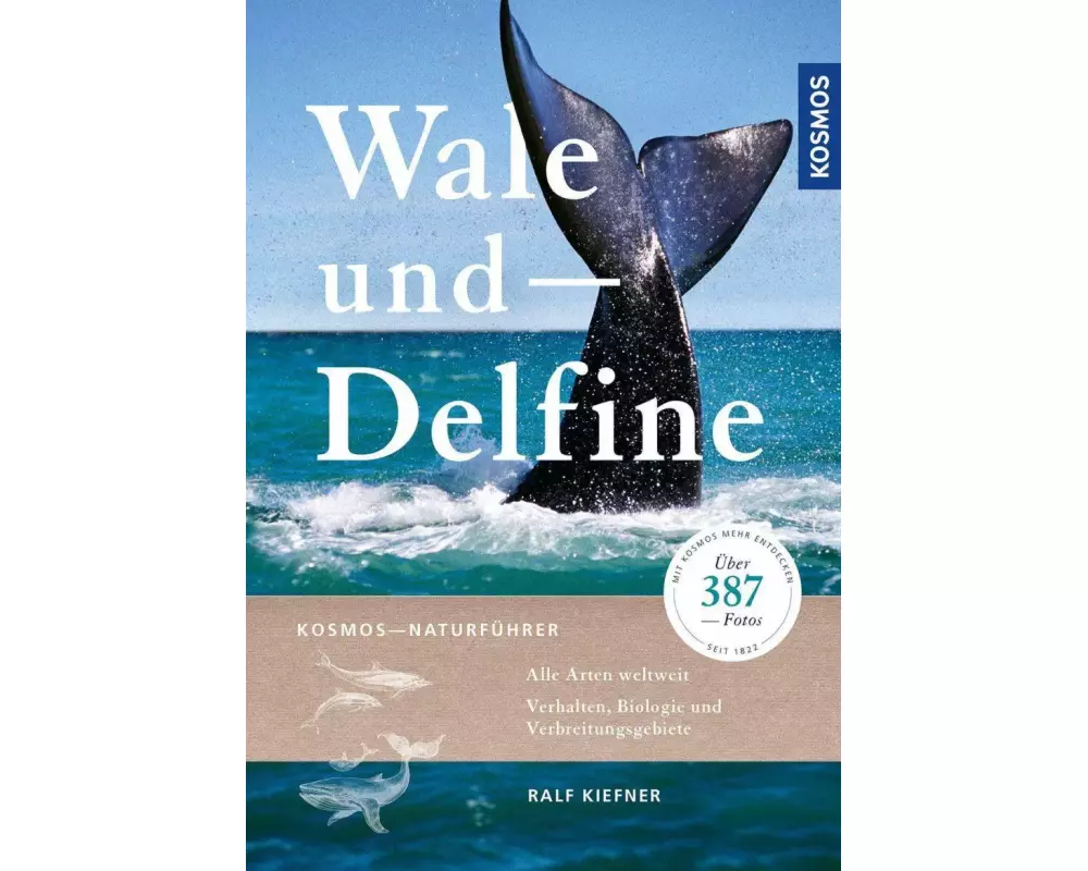 Wale und Delfine