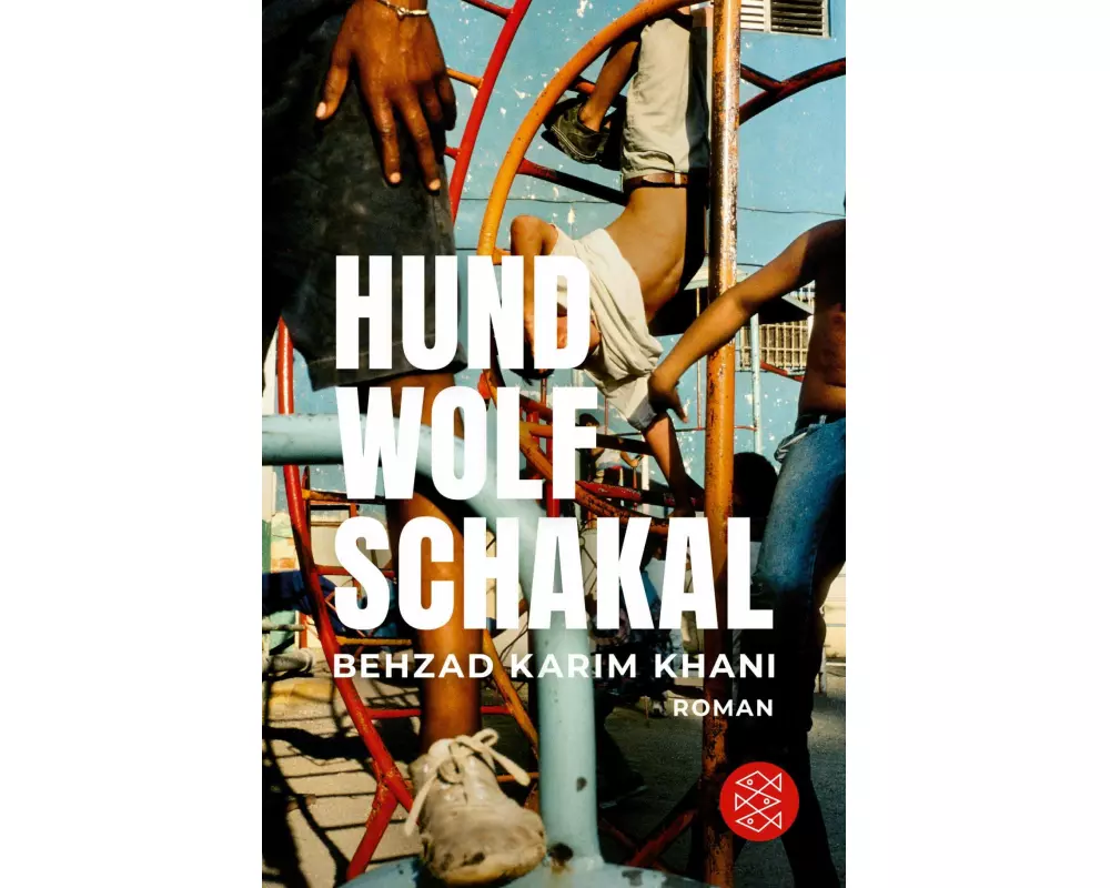Hund, Wolf, Schakal
