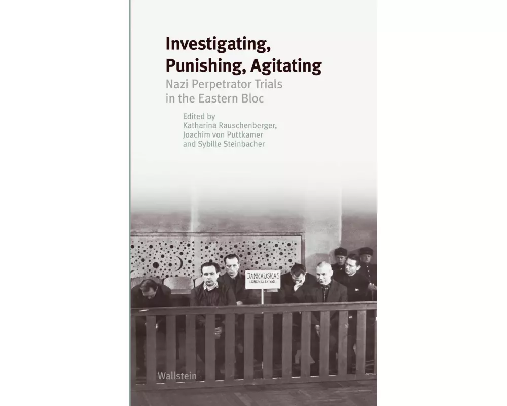 Investigating, Punishing, Agitating