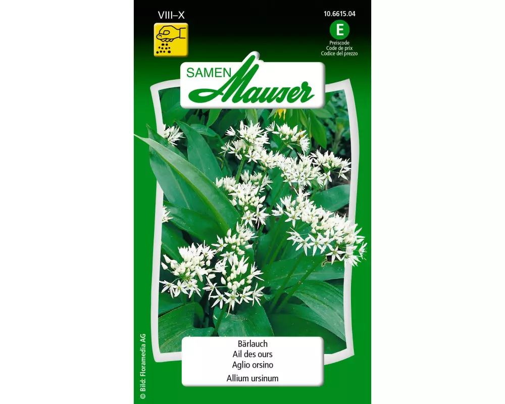 Samen Mauser Samen Bärlauch