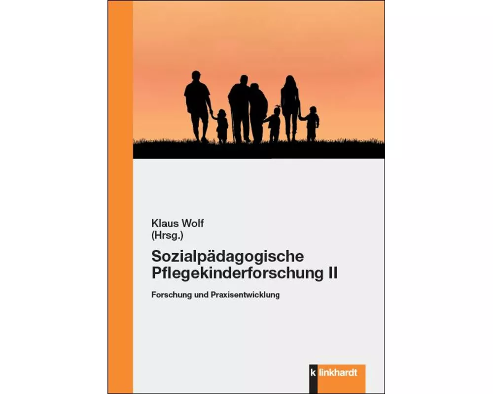 Sozialpädagogische Pflegekinderforschung II