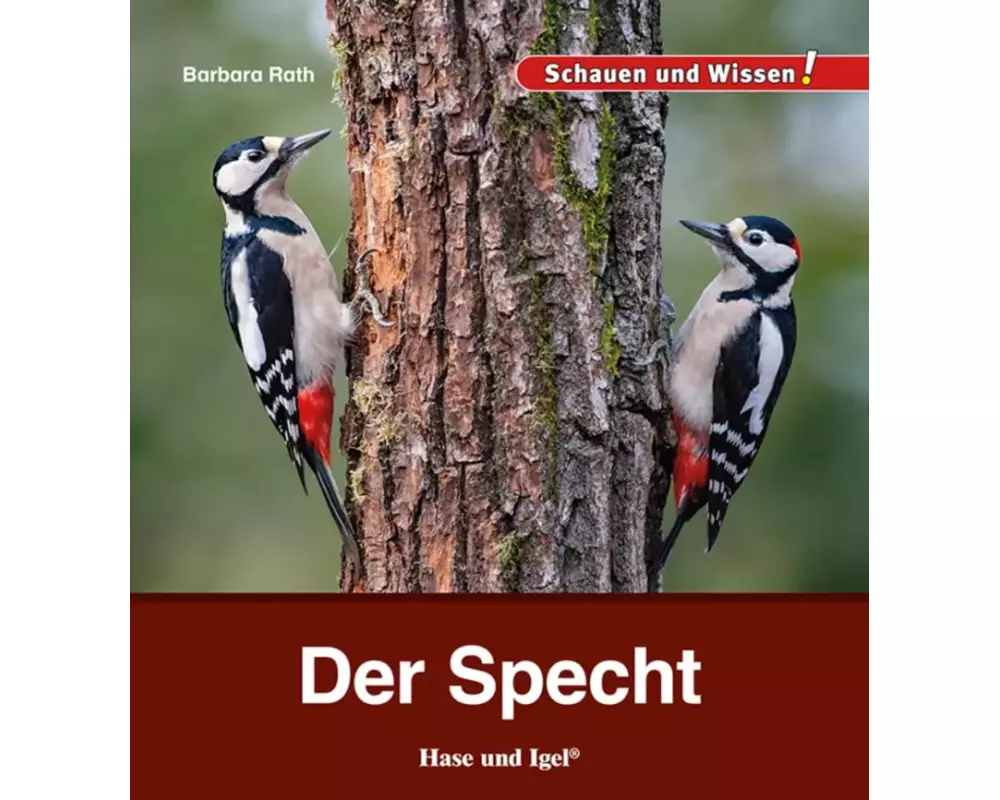 Der Specht