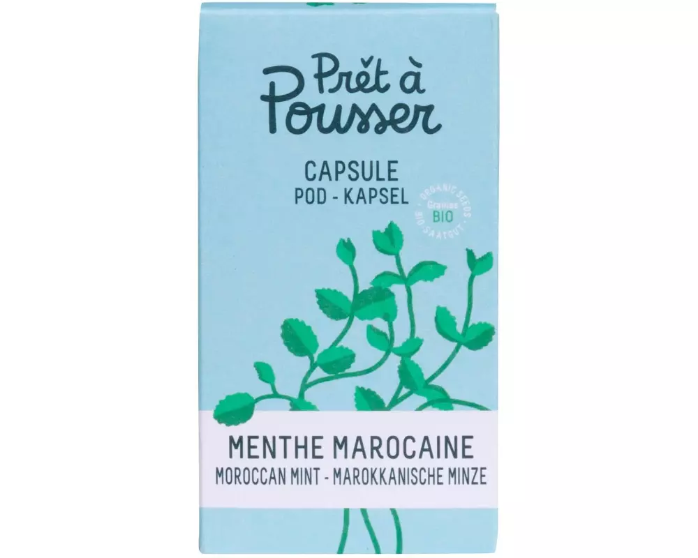 Prêt à Pousser Samen Marokkanische Minze