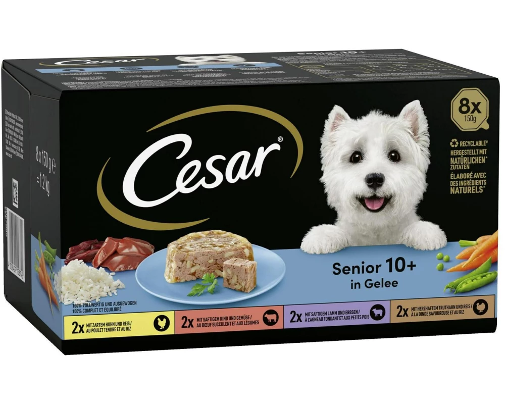 Cesar Schale Senior Multipack in Gelee, 8 x 150 g