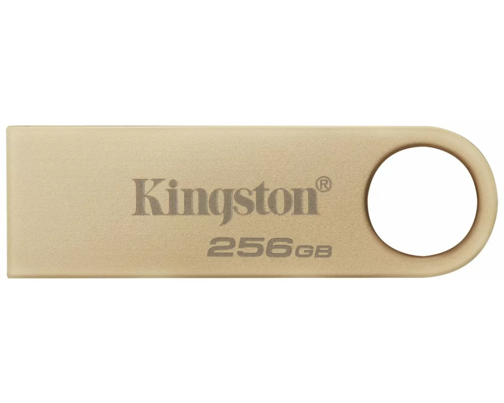 Kingston USB-Stick DataTraveler SE9 G3 256 GB