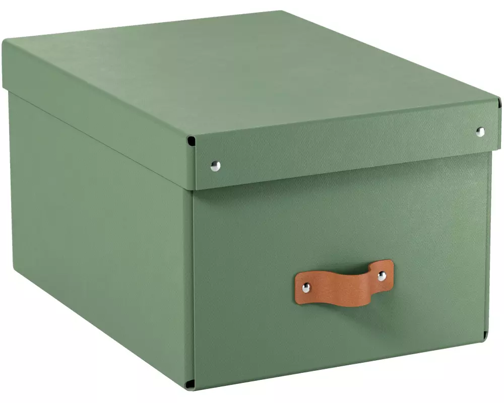 Leitz Arrchivbox Puro mittel mit Klappdeckel, 2 Stück, Hellgrün