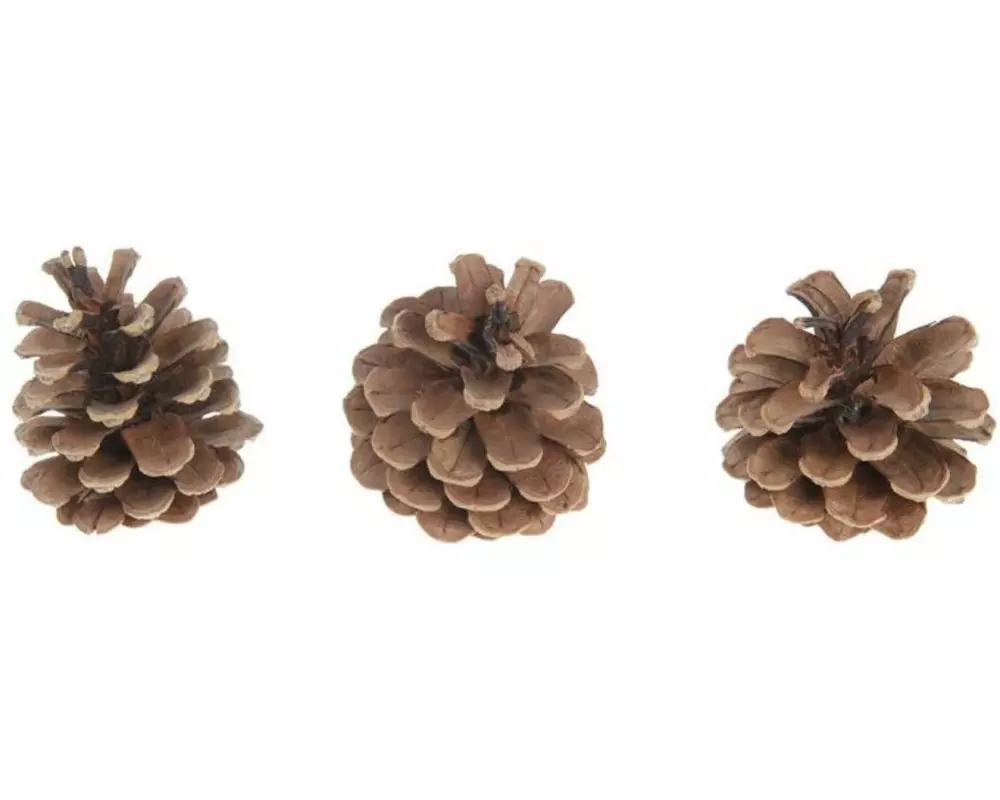 CHALET Streudeko Zapfenmischung, 250g