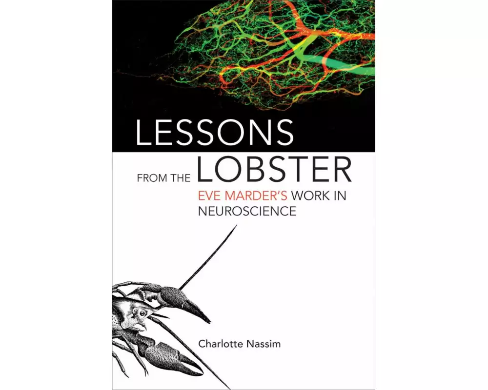 Lessons from the Lobster