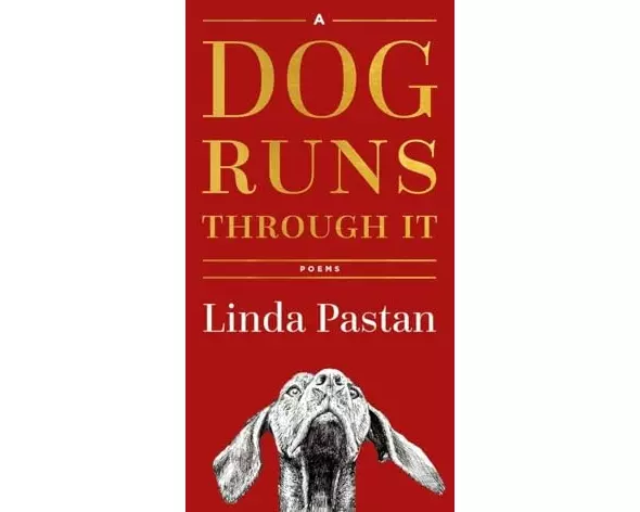 A Dog Runs Through It