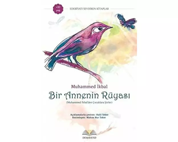 Bir Annenin Rüyasi
