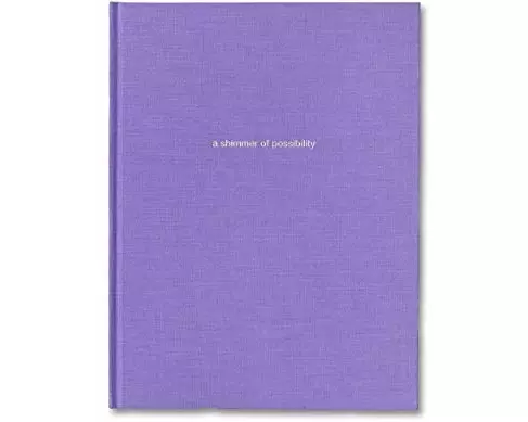 Shimmer of Possibility