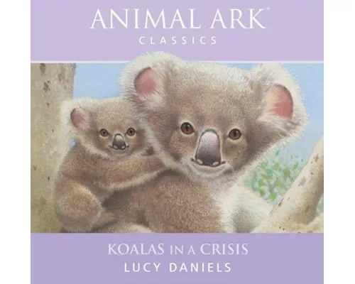 Animal Ark 16 Koala in a Crisi