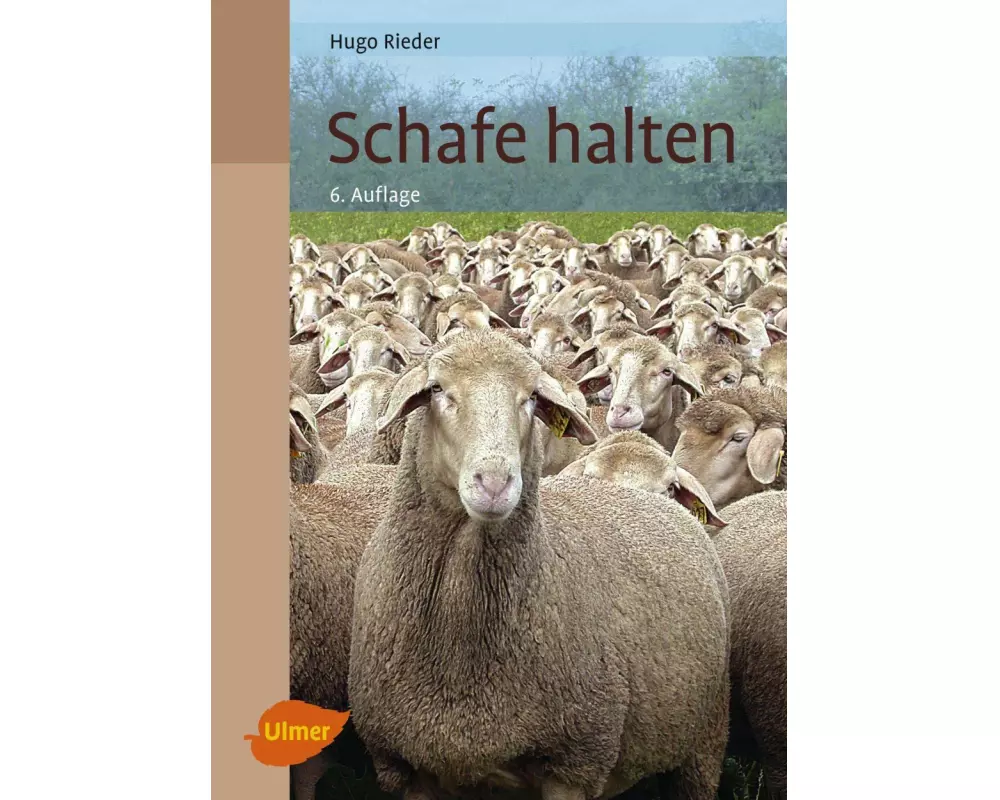 Schafe halten