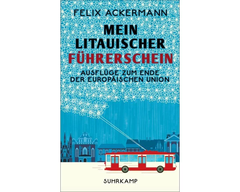 Mein litauischer Führerschein