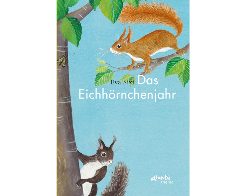 Das Eichhörnchenjahr