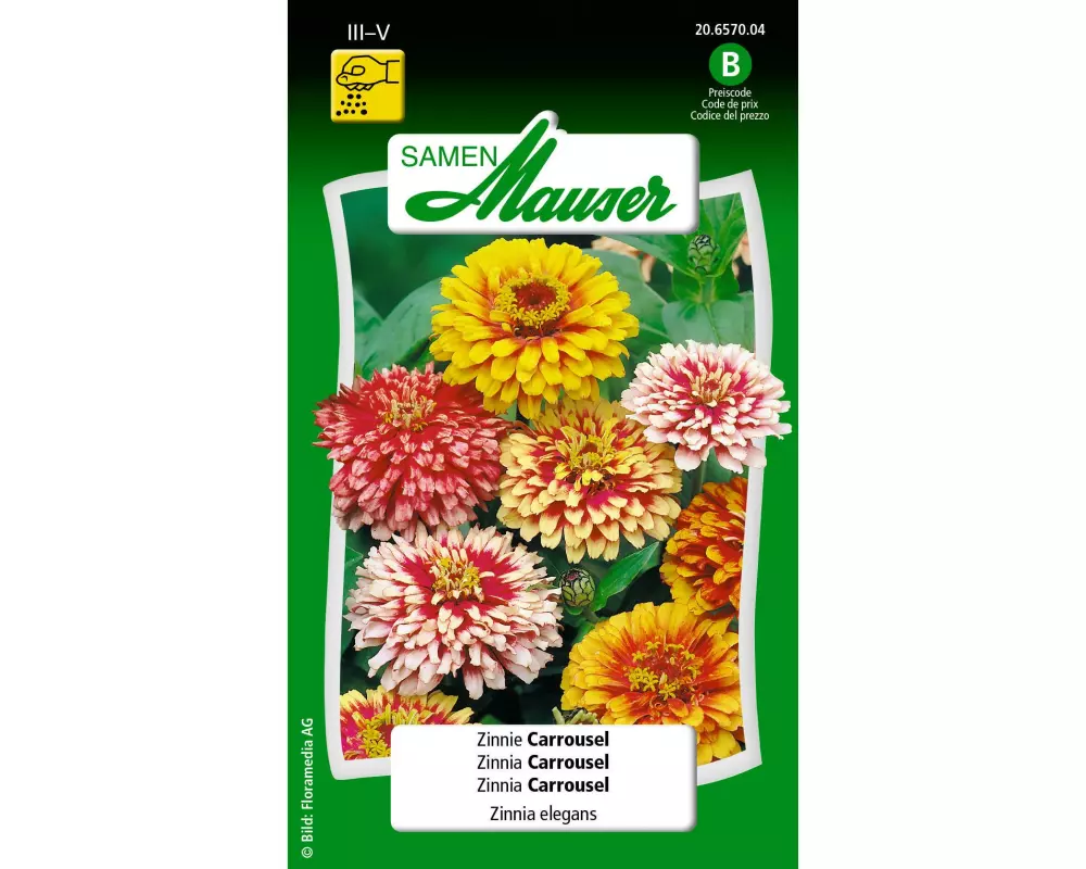 Samen Mauser Saatgut Zinnie Carrousel