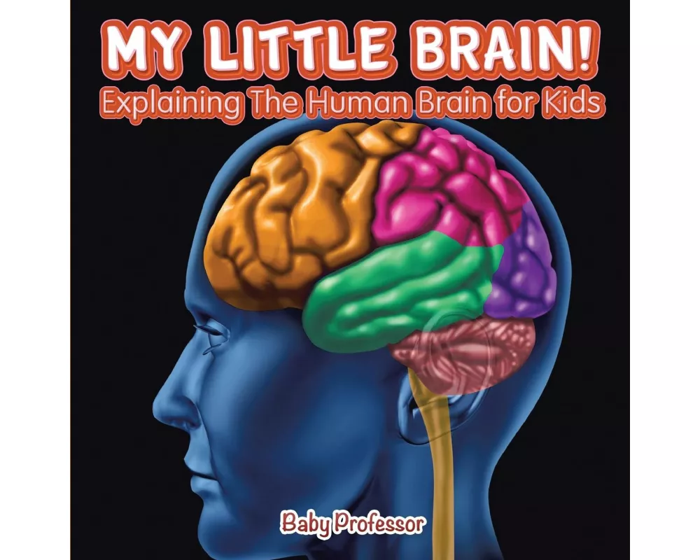 My Little Brain! - Explaining The Human Brain for Kids