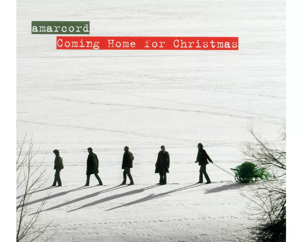 Coming Home For Christmas