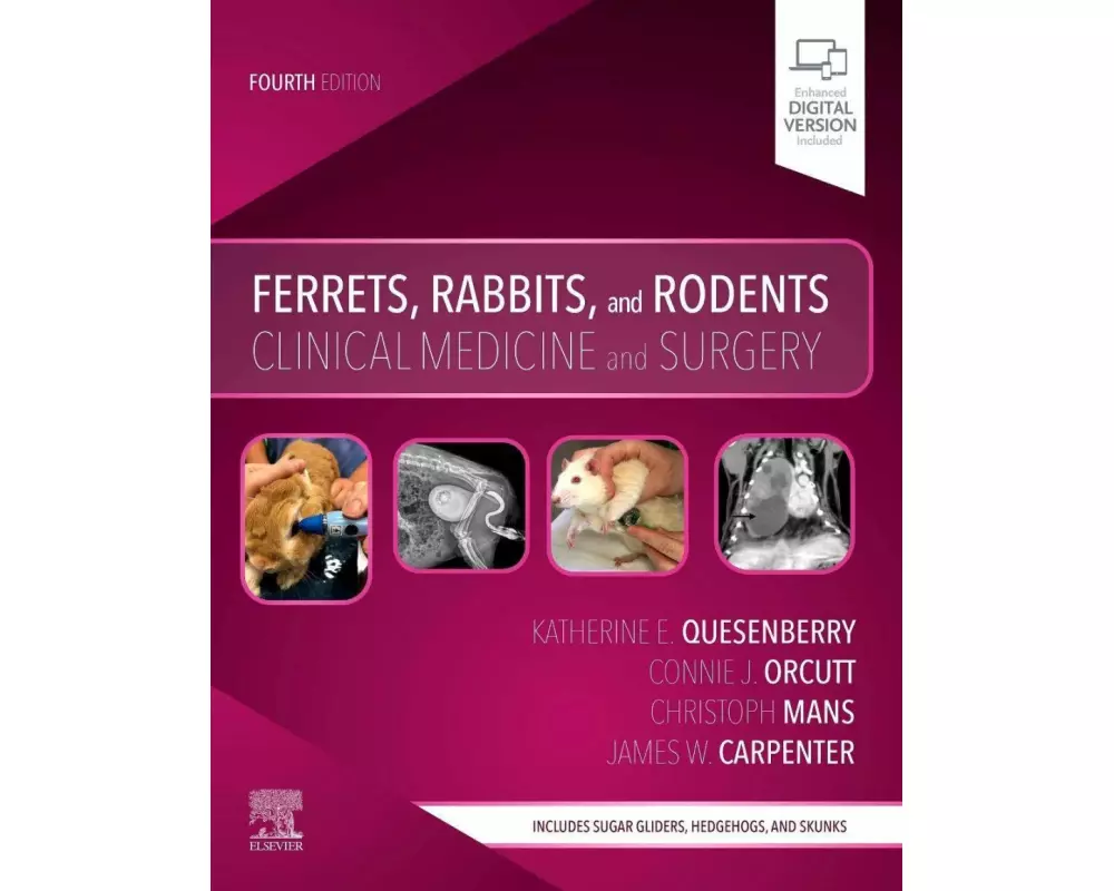 Ferrets, Rabbits, and Rodents