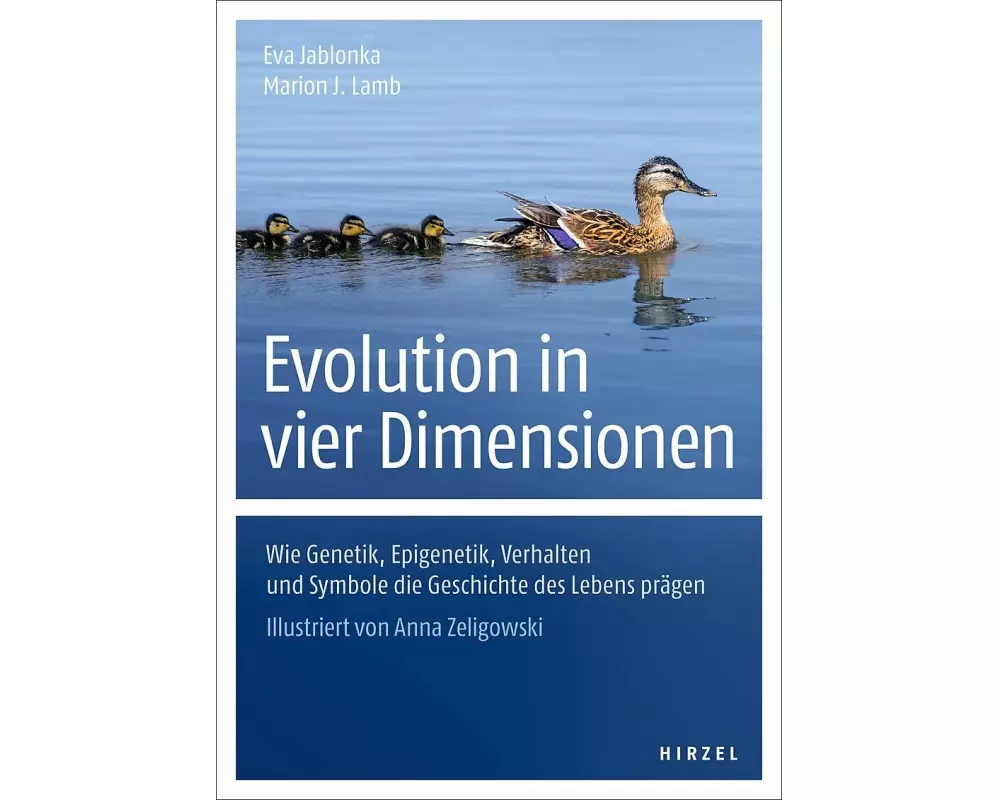 Evolution in vier Dimensionen