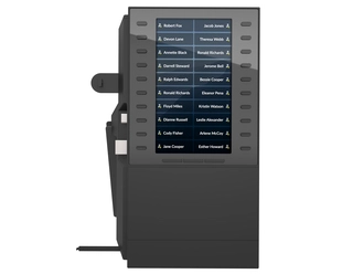 Poly CCX EM60 Expansion Module