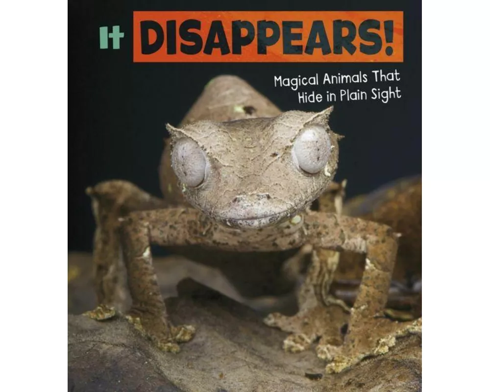 It Disappears!