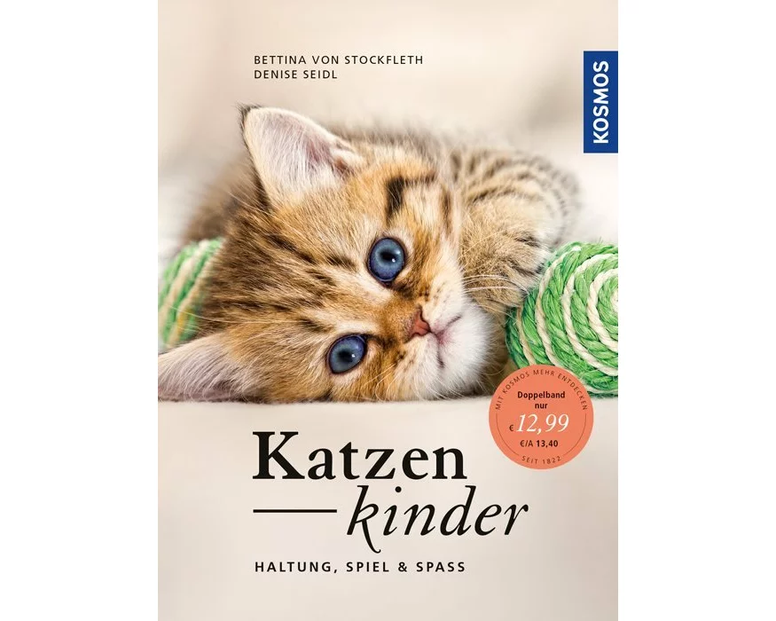 Katzenkinder